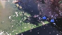 Dit is ook Marokko: een blik over de railing van de brug.....