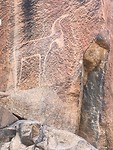 De prehistorische gravure in de rots: De gazelle