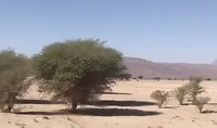 Reis je even mee? Tussen Icht en Tata