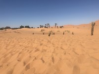Ploeteren door het zand