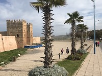 Kenitra