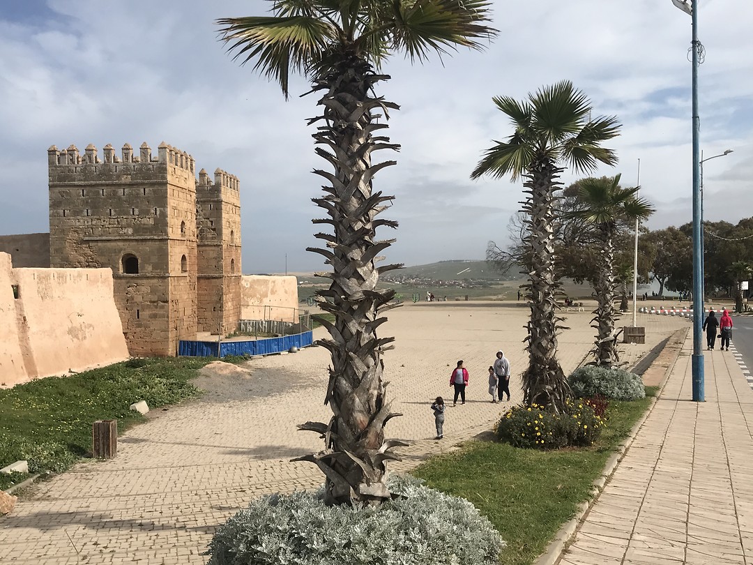 Kenitra