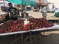 Geweldig al die verse aardbeien