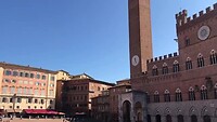 Piazza del Campo. Siena