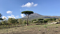 De Vesuvius