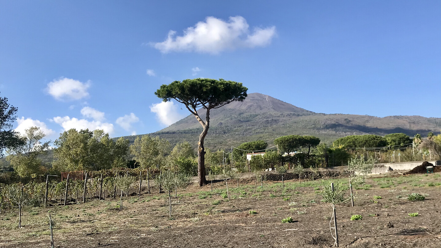De Vesuvius