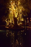Sfeerverlichting aan zwembad in Novotel Surin Beach Resort