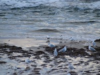 Ontwaken met zicht op zee
