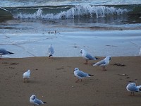 Ontwaken met zicht op zee
