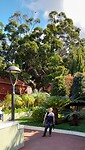 Stadswandeling in La Orotava
