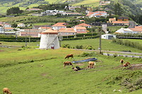 Op Faial