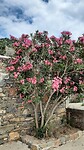 Wandelen op het eiland Spinalonga