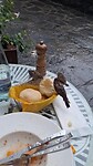 Wij hebben genoeg gegeten, het brood is voor de vogeltjes