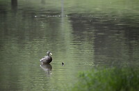 Avondwandeling in Hjørring