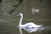 Avondwandeling in Hjørring