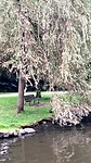 Avondwandeling in Hjørring