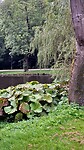 Avondwandeling in Hjørring