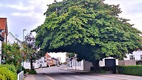 Avondwandeling in Hjørring