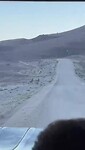 Bergzebra's gespot