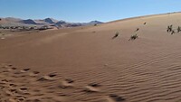 Sossusvlei