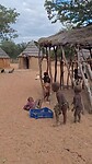 Bij de Himba's