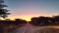 Game drive in Etosha National Park