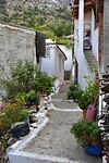 Amades