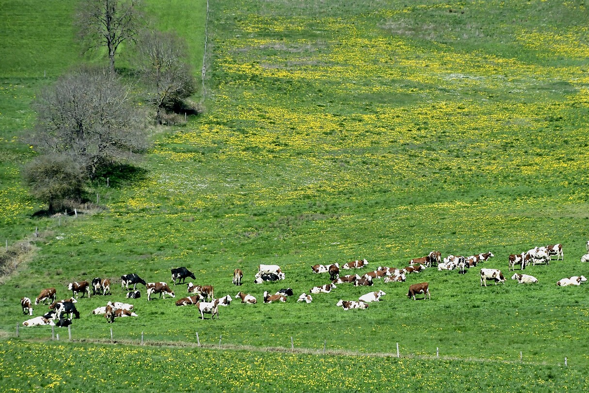 Op weg naar de Corrèze