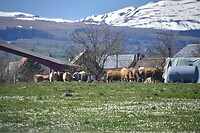 Op weg naar de Corrèze