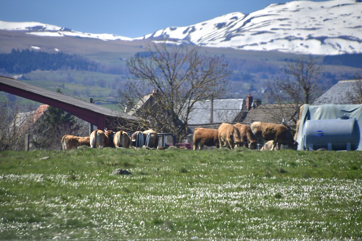 Op weg naar de Corrèze