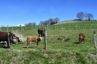 Op weg naar de Corrèze