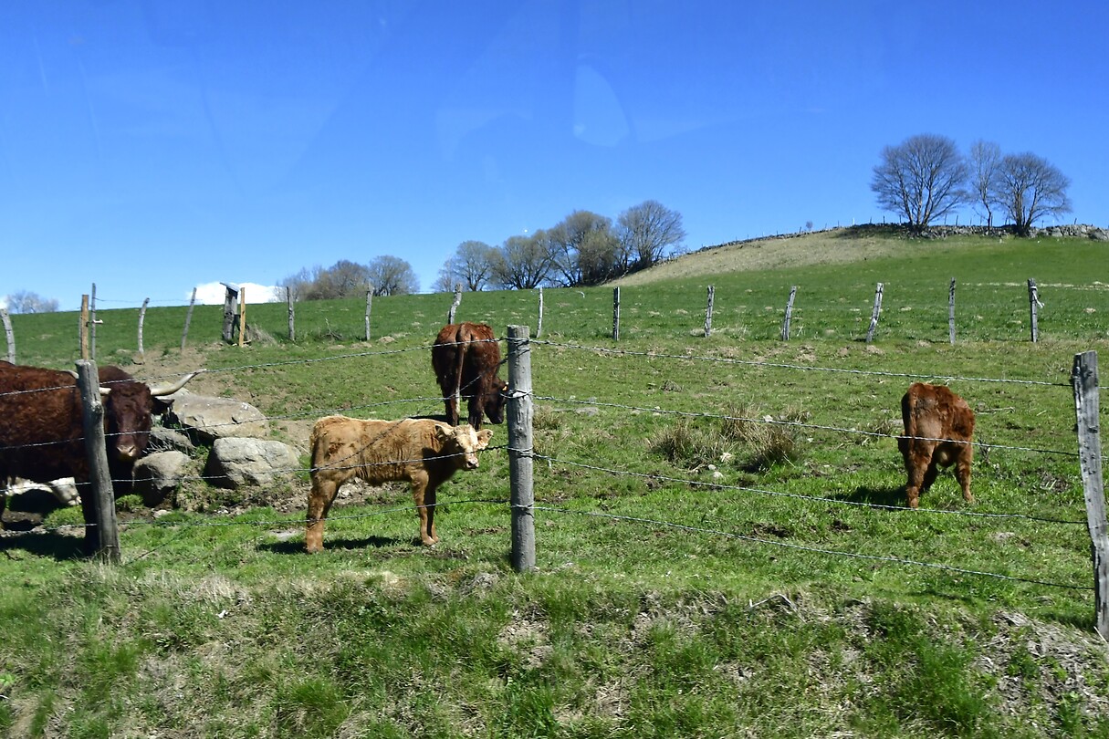 Op weg naar de Corrèze
