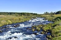 Op weg naar Þingvellir