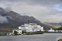 _DSC4230