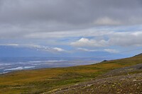 _DSC4168