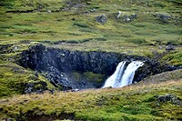 _DSC4181