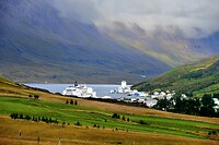 _DSC4212
