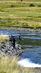 _DSC4220