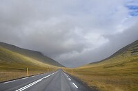 _DSC4104