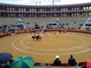Alicante 389