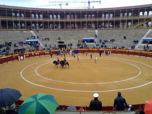 Alicante 389