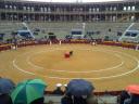 Alicante 394