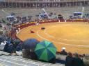 Alicante 401