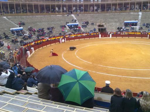 Alicante 401