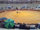 Alicante 402