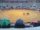 Alicante 414