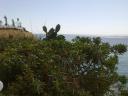 Benidorm 047