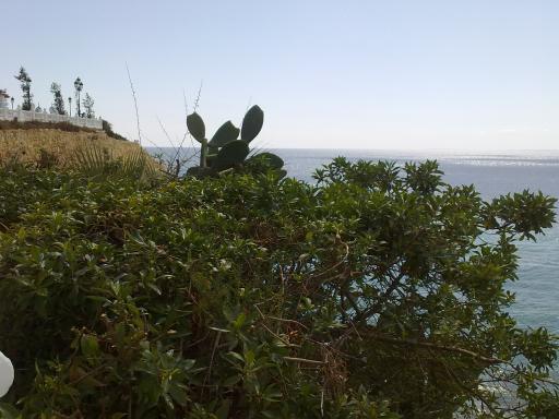 Benidorm 047