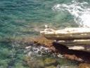 Benidorm 067