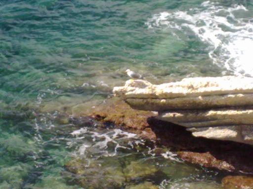 Benidorm 067